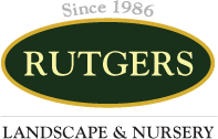 RutgerLn RutgerLn